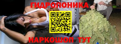 гидропоника Мариинск