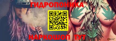 гидропоника Мариинск