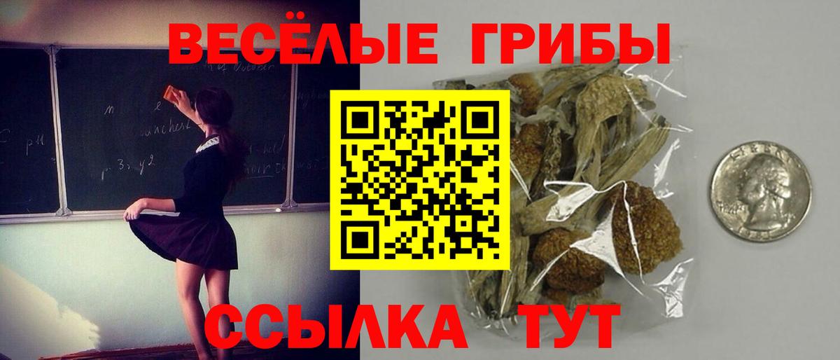 Галлюциногенные грибы мицелий  Вход с VPN  Горно-Алтайск 
