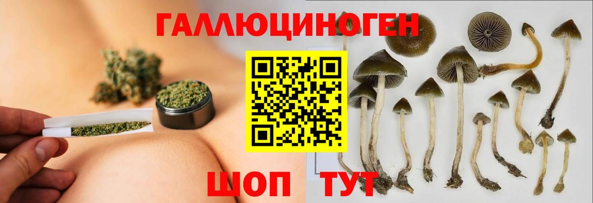 Галлюциногенные грибы мухоморы Горно-Алтайск